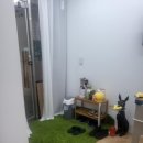 숲칼프 풍무점 네이버블로그