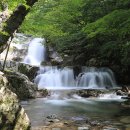 방태산 자연휴양림 캠핑장 이미지