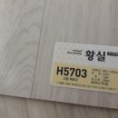 H5703 이미지