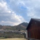 두 번째 벚꽃 | 하동 숙소 두번째벚꽃 만개 때 다녀온 후기 (feat. Room1)