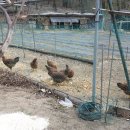 종성농장 이미지