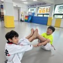 국가대표 영웅 태권도 이미지