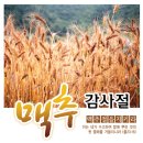 맥추 감사절(麥湫 感謝節, Feast of Harvest) 이미지