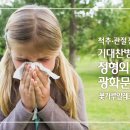 봄날,꽃 이미지
