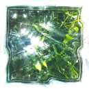 초록바다 이미지