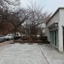 도심건강길 5길 | 화성 행궁 카페 도심 속 100평 식물원! 삼림욕 힐링 대형카페 '뜰 리저브' 솔직 후기 (주차 가능)