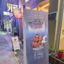 울릉도 저동항 카페 '153독도강치커피' 선물용 디저트 추천