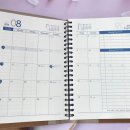 브라운스프링 이미지