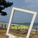 해변노래연습장 | [양양] 코레일 낙산연수원, 해파랑길44코스, 정암해변 몽돌소리길 파도소리 들으면서 걸어보기 #RoAD