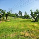 수목원파크 이미지