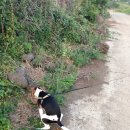 놀아줘PC 이미지