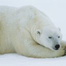 서울햇빛동물병원 이미지