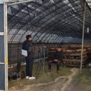 형지농장 이미지