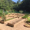 호반초등학교 이미지