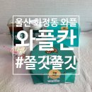 울산 화정동 와플 : 도톰하고 쫄깃한 와플이 매력적인 와플칸