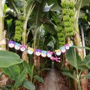 한재윤농장 이미지