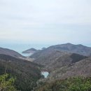 국립남해편백자연휴양림 이미지