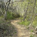 광양 마로산성 이미지