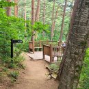 2025년월 8월10일 강릉 대관령 금강 소나무숲길 트래킹 안내및 좌석예약 이미지