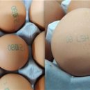 파리바게뜨파동 이미지