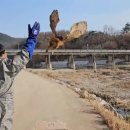 경북야생동물구조관리센터 이미지