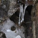 지리산약초 이미지