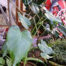 동인외과병원 이미지