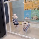 올리스 24(마산) 이미지