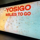 요시고 사진전2: MILES TO GO | 작품부터 전시 구성, 요시고랑 스몰토크 후기