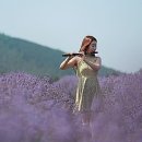 가장 아름다운 노래 이미지