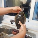 해안로 2898 이미지