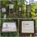 행정4길 이미지