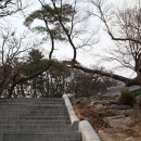 동화사(도학동) 이미지