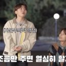 차방책방