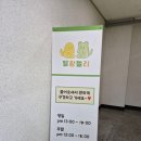 생각이 자라는 초등 로스쿨 | 양주 파충류샵 말랑젤리 방문 후기｜초등아이와 크레스티드게코 아젠틱 분양받았어요 🦎