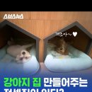 강아지집 이미지