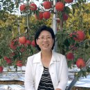 들가운데농장 이미지