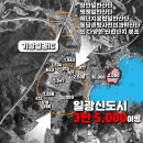 유림-1134 이미지