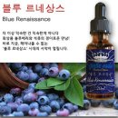 비손시크릿 | 젠틀소울 '블루르네상스' 후기