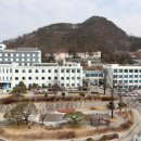 강원나물밥 채원 이미지