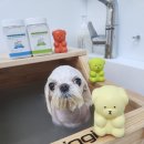 애플스파 이미지