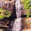 문경밥상 이미지