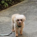 두나의 하루 이미지