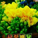 샬롬 - 송파구 마천로 256 | 샬롬