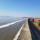 다을새길 이미지