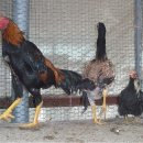 광주조류원 이미지