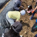 영동군 여성회관_교육장 | [창원] 창원시가족센터 가족봉사단-주말농장 봉사활동 다녀왔어요