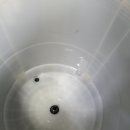 엘지민박 이미지