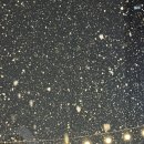 형제상회 이미지