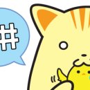 루키Ⅱ 이미지